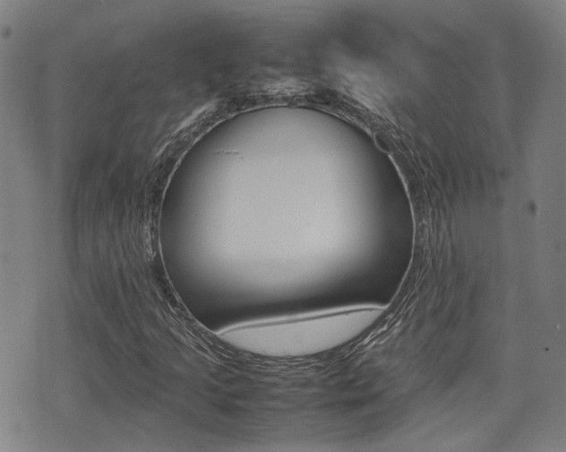 X0000075331205200609080721