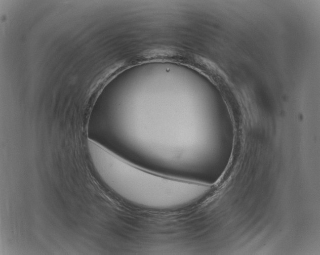 X0000075331217200609080722