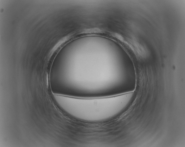 X0000075331221200609080722