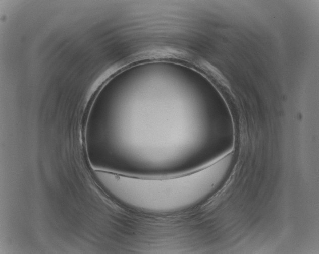 X0000075331226200609080722