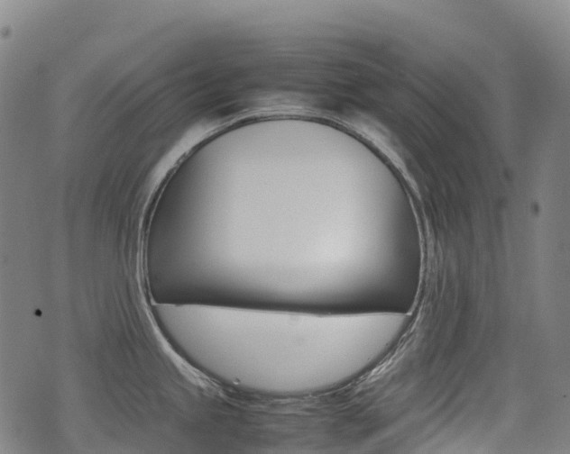 X0000075331245200609080722
