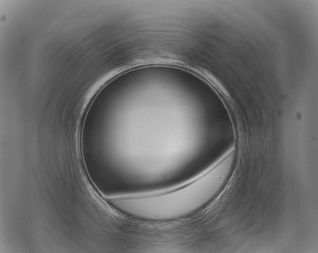 X0000075331246200609080722