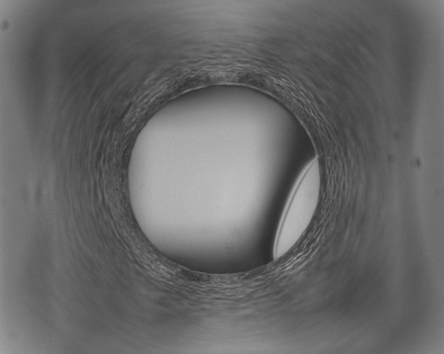 X0000075331249200609080721