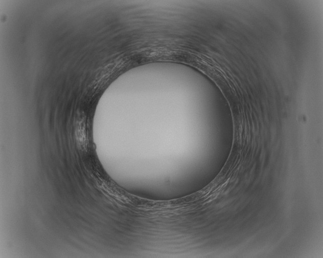 X0000075331250200609080721