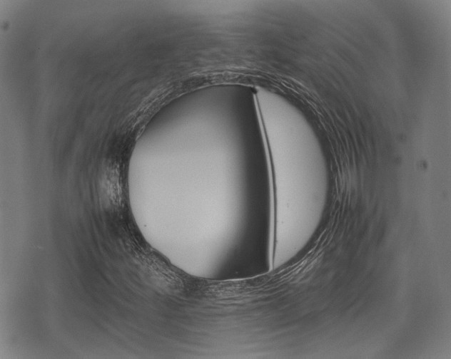 X0000075331252200609080721