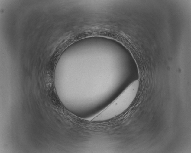 X0000075331253200609080721