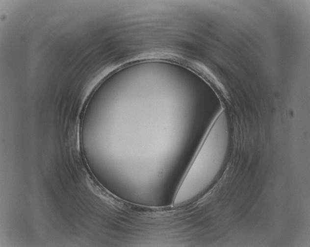 X0000075331276200609080721