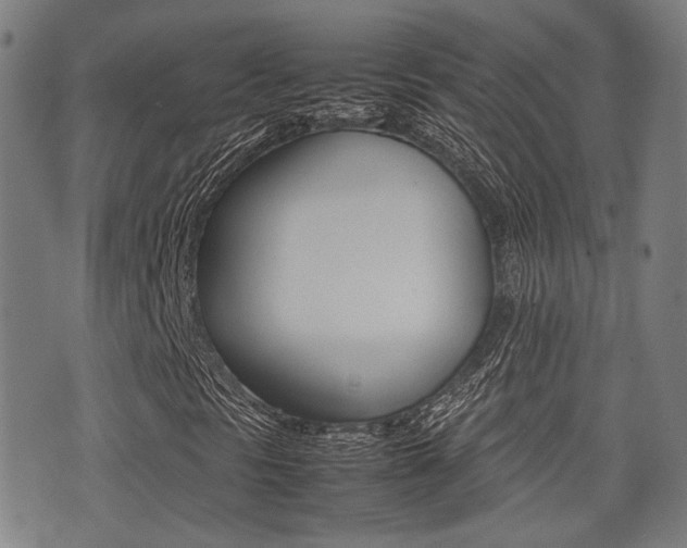 X0000075331297200609080720