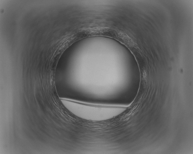 X0000075331300200609080720