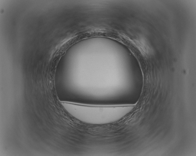 X0000075331303200609080720