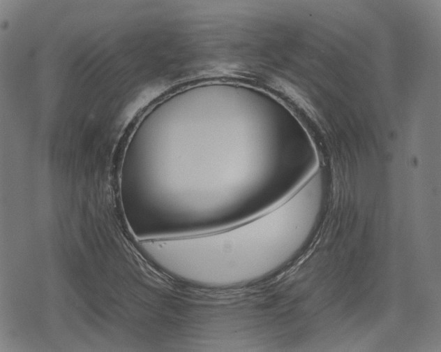 X0000075331308200609080720