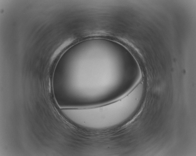 X0000075331317200609080720