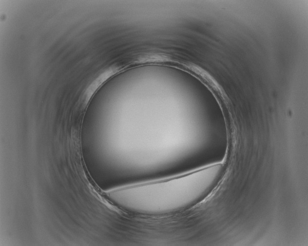 X0000075331337200609080721