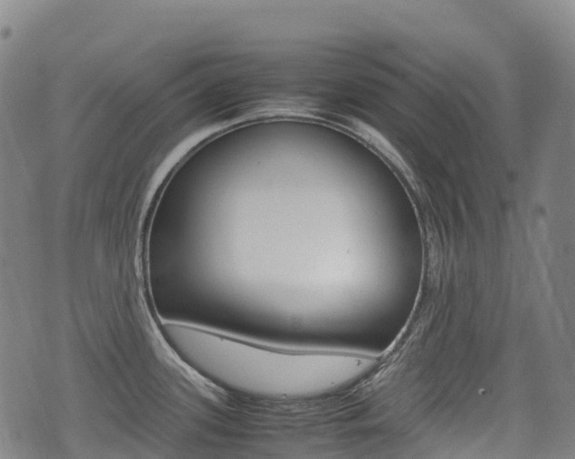 X0000075331339200609080721