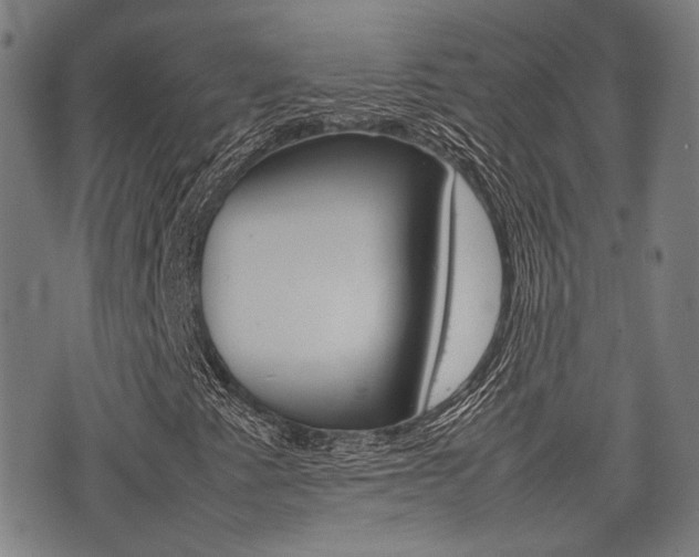 X0000075331345200609080720