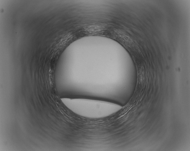X0000075331346200609080720