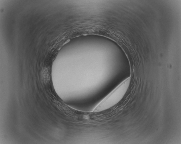 X0000075331347200609080720