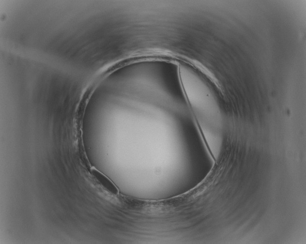 X0000075331364200609080720