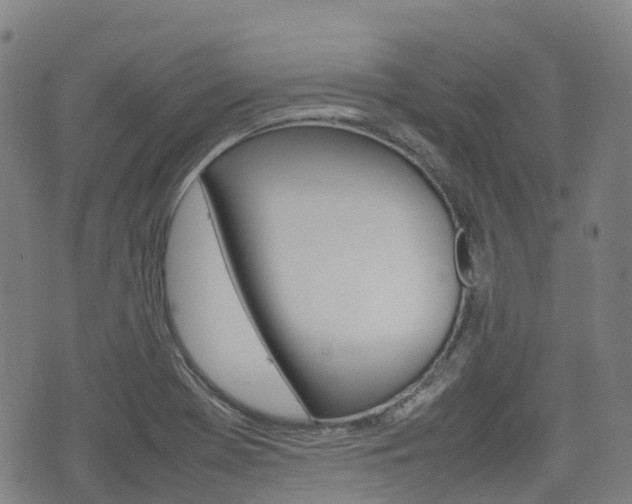 X0000075331369200609080719
