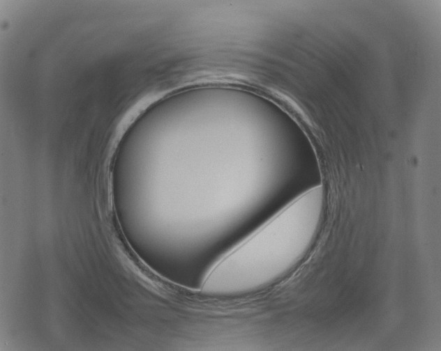 X0000075331371200609080719