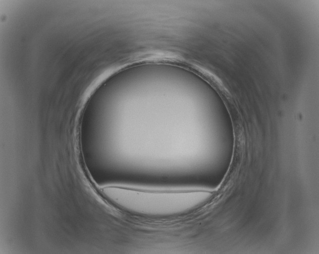 X0000075331375200609080719