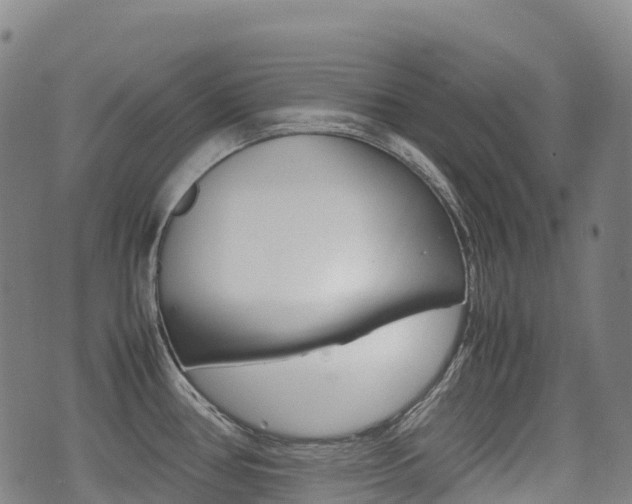 X0000075331386200609080719
