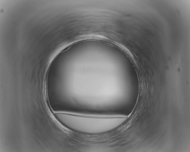 X0000075331391200609080719
