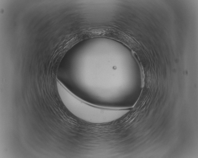 X0000075331394200609080718