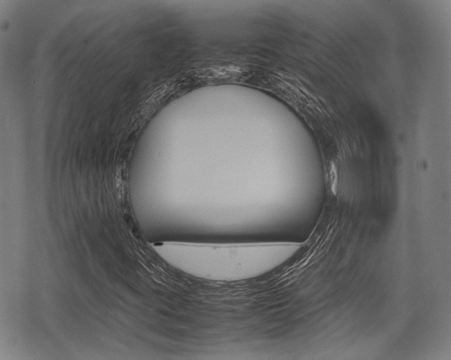 X0000075331395200609080718