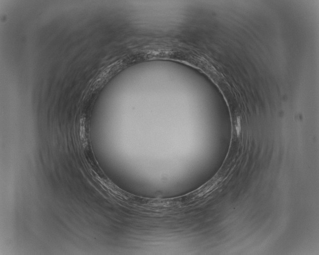 X0000075331396200609080718
