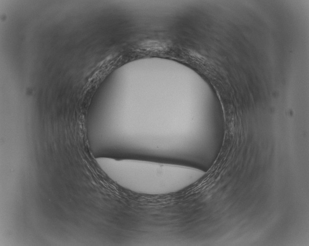 X0000075331397200609080718