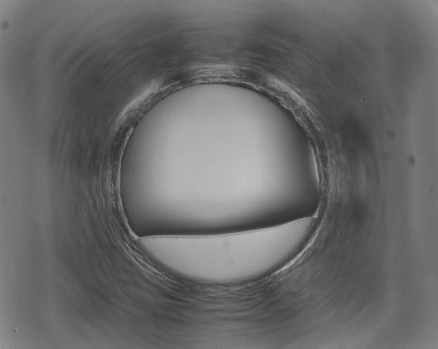 X0000075331403200609080718