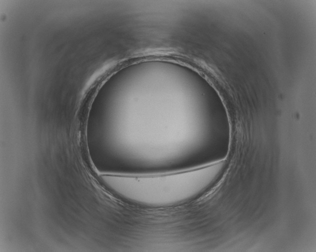 X0000075331406200609080719