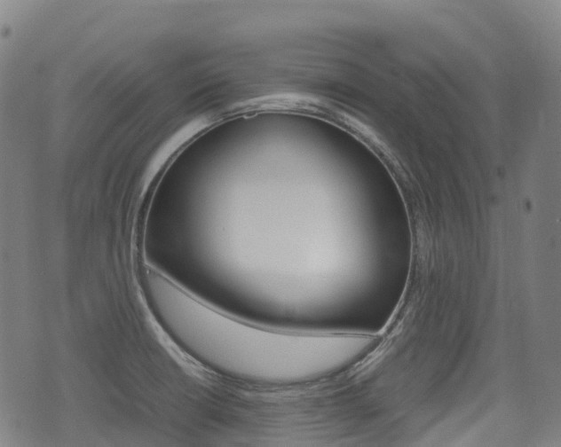 X0000075331426200609080719