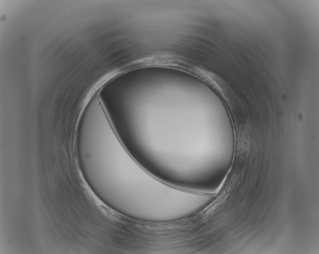 X0000075331434200609080719