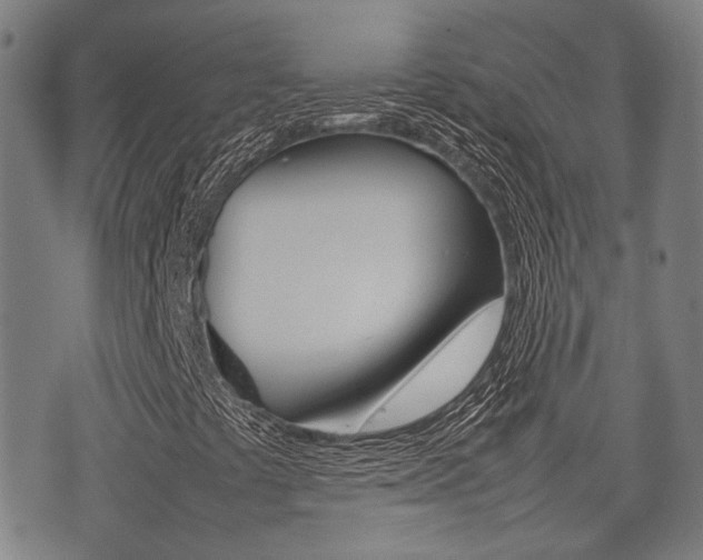X0000075331441200609080718