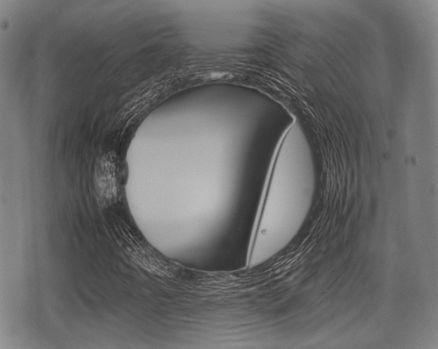 X0000075331442200609080718