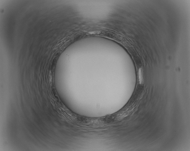 X0000075331443200609080718