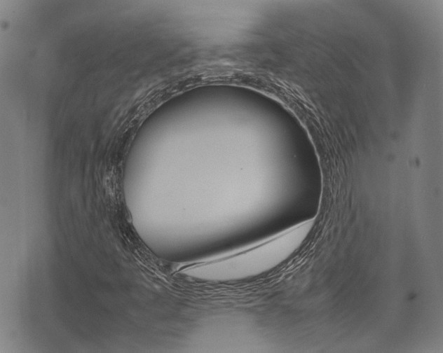 X0000075331445200609080718