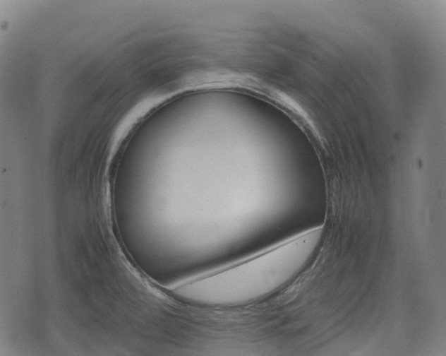 X0000075331472200609080718