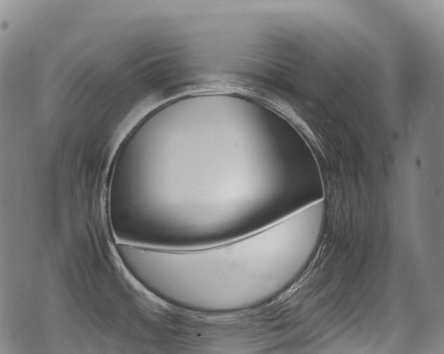 X0000075331484200609080718