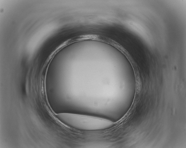 X0000075331487200609080718