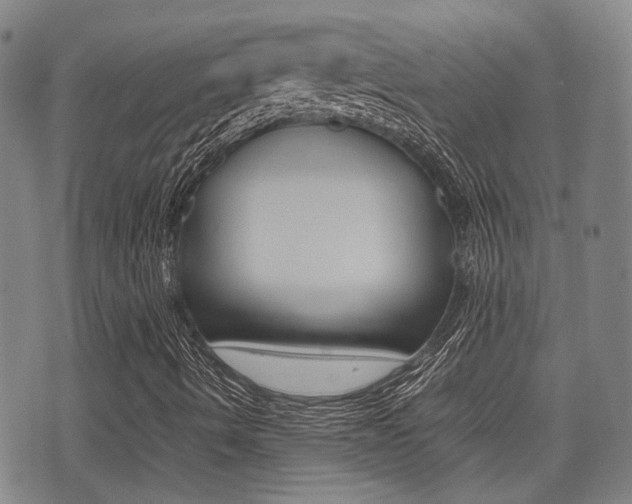 X0000075331490200609080717
