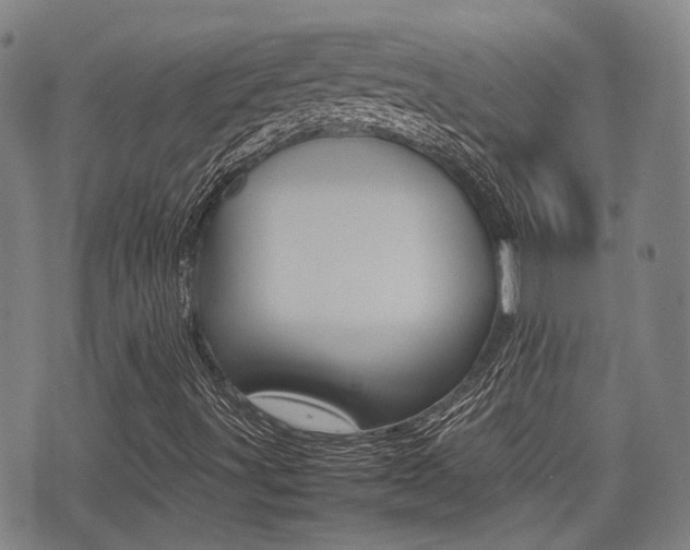 X0000075331491200609080717