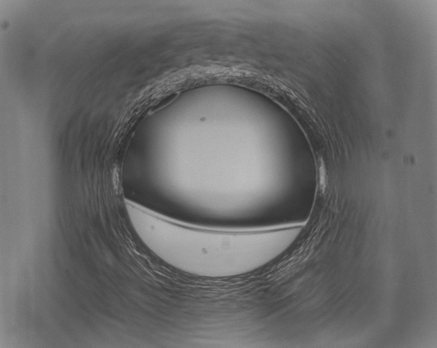 X0000075331492200609080717