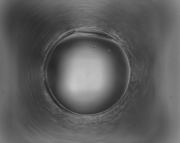 X0000075330002200609081109