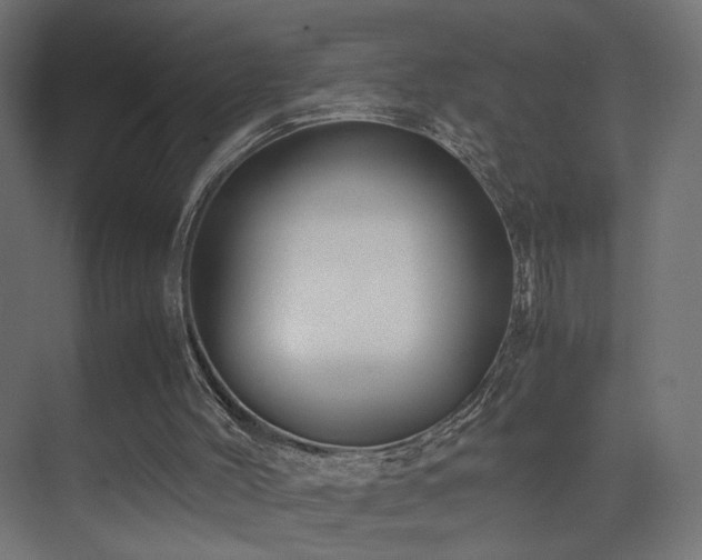 X0000075330004200609081109