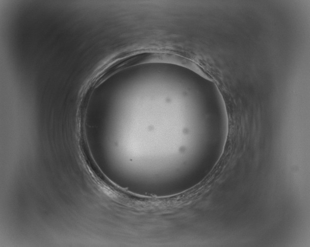 X0000075330005200609081109