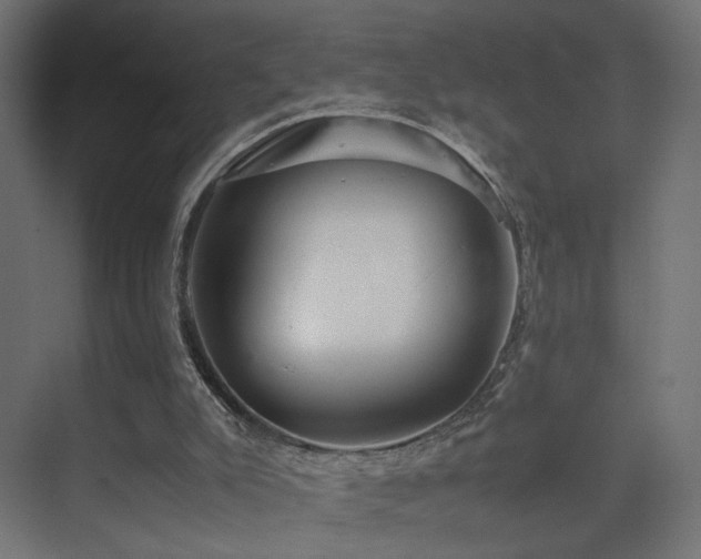 X0000075330007200609081109