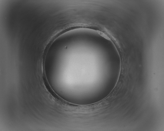 X0000075330011200609081109